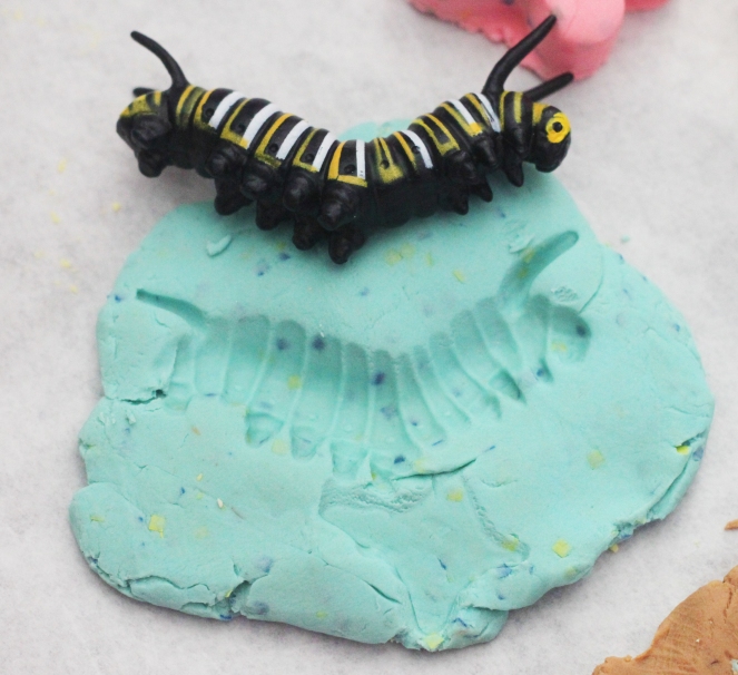 caterpillar impressions in playdoh