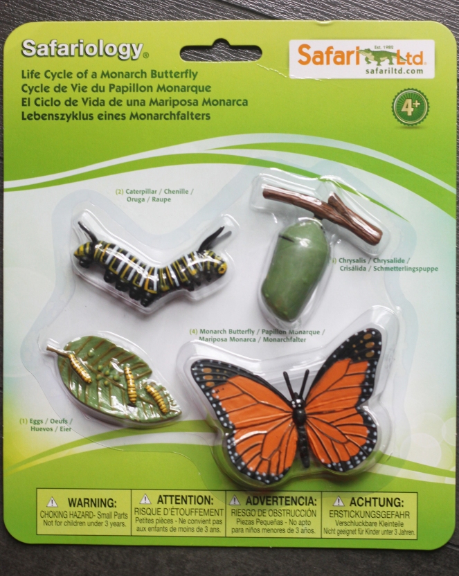 life cycle of butterfly toy
